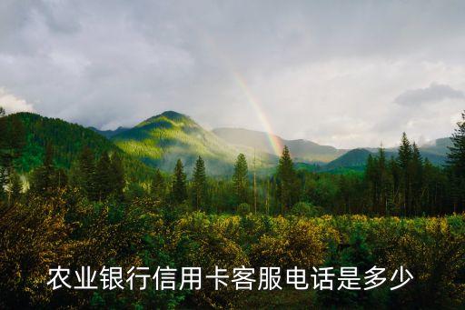 農(nóng)業(yè)銀行信用卡客服電話是多少