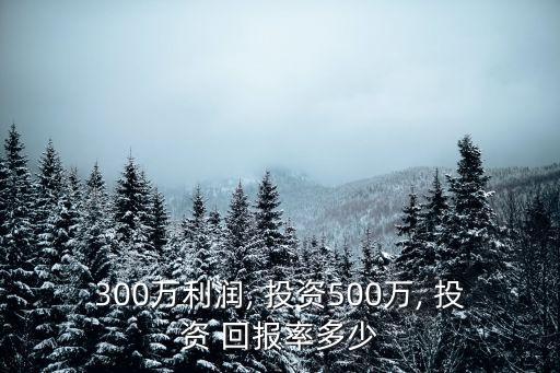300萬(wàn)利潤(rùn), 投資500萬(wàn), 投資 回報(bào)率多少