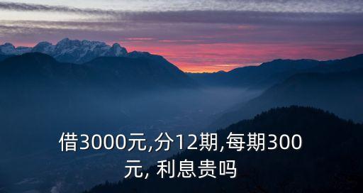 借3000元,分12期,每期300元, 利息貴嗎