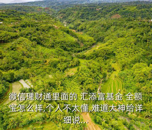 匯添富全額寶貨幣 的費率多少,為什么自動轉(zhuǎn)入?yún)R添富全額寶貨幣