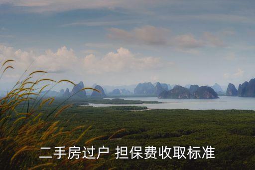 二手房過戶 擔(dān)保費(fèi)收取標(biāo)準(zhǔn)