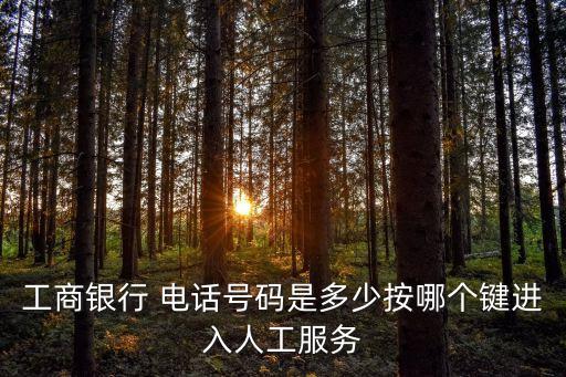 工商銀行 電話號碼是多少按哪個鍵進入人工服務(wù)