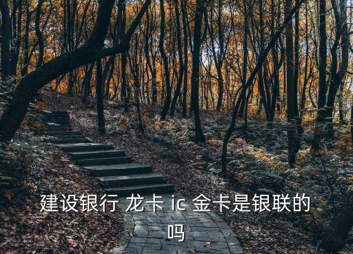 龍卡標準ic金卡額度多少,中信標準ic金卡額度