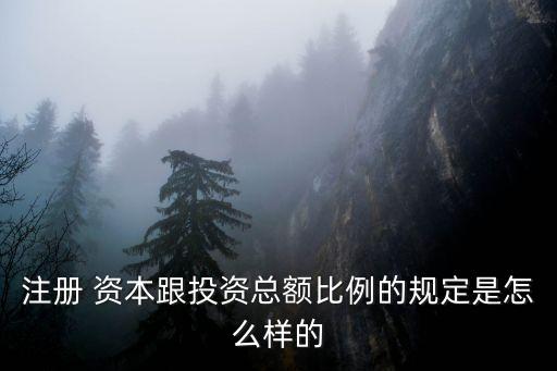 高第資本總資金有多少