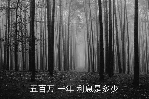 五百萬(wàn) 一年 利息是多少
