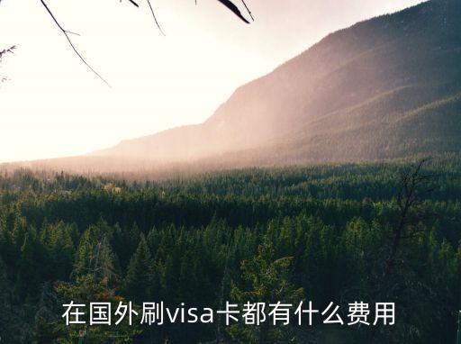 境外銀行卡刷卡手續(xù)費(fèi)多少錢,銀行卡pos機(jī)刷卡手續(xù)費(fèi)怎么算