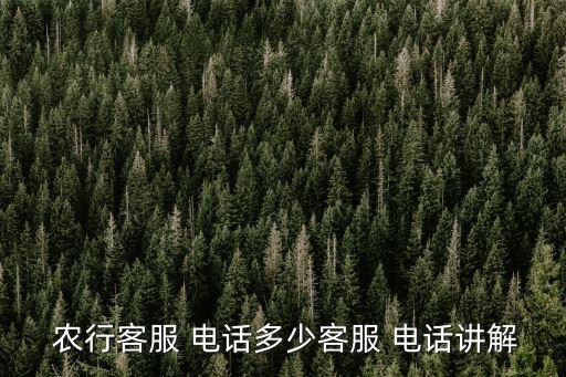 農(nóng)行客服 電話多少客服 電話講解
