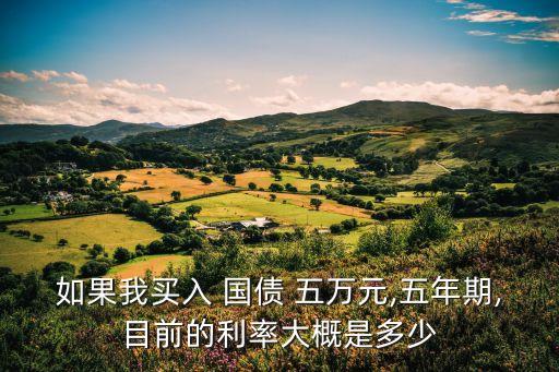 如果我買入 國債 五萬元,五年期,目前的利率大概是多少