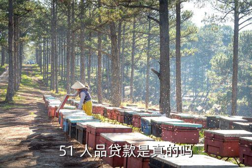 51 人品貸款是真的嗎