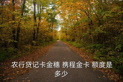  農行貸記卡金穗 攜程金卡 額度是多少