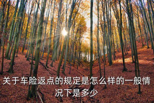 實體店保險能返多少點