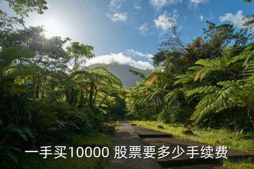 一手買10000 股票要多少手續(xù)費