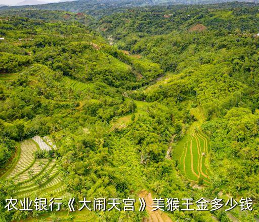農(nóng)業(yè)銀行《大鬧天宮》美猴王金多少錢