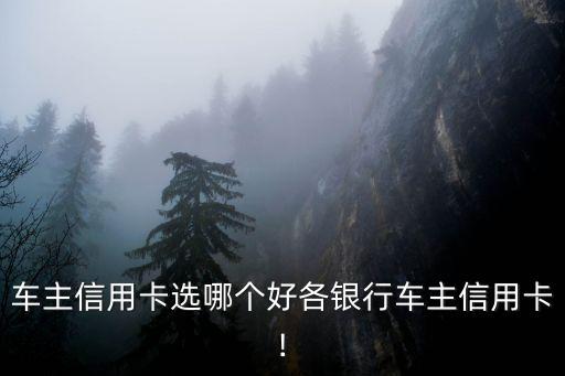 車(chē)主信用卡選哪個(gè)好各銀行車(chē)主信用卡!