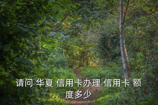 請(qǐng)問 華夏 信用卡辦理 信用卡 額度多少