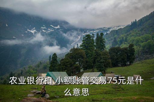 農(nóng)行小額管理費多少