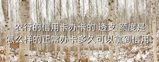 農(nóng)行卡怎么透支額度是多少錢(qián)