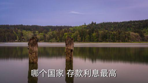 哪個(gè)國(guó)家 存款利息最高