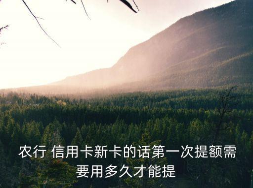  農(nóng)行 信用卡新卡的話第一次提額需要用多久才能提