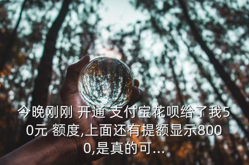 今晚剛剛 開通 支付寶花唄給了我50元 額度,上面還有提額顯示8000,是真的可...