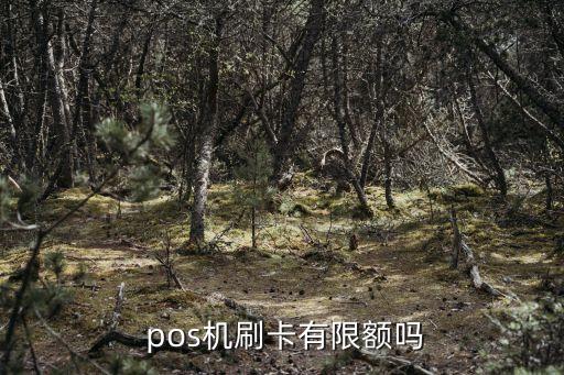  pos機刷卡有限額嗎