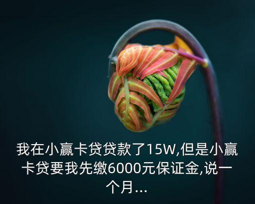 我在小贏卡貸貸款了15W,但是小贏卡貸要我先繳6000元保證金,說一個月...