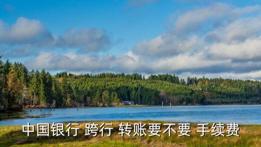 中行 柜臺跨行轉(zhuǎn)賬手續(xù)費是多少