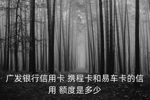 攜程聯(lián)名卡額度一般多少,民生攜程聯(lián)名卡有額度嗎