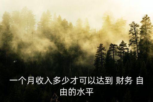 一個(gè)月收入多少才可以達(dá)到 財(cái)務(wù) 自由的水平