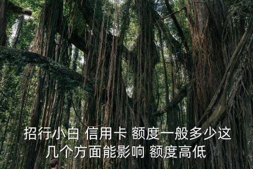  招行小白 信用卡 額度一般多少這幾個方面能影響 額度高低