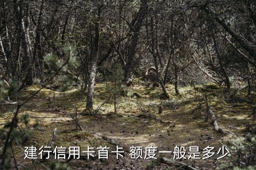 建設(shè)白金銀聯(lián)卡額度多少,中信銀聯(lián)卡額度多少