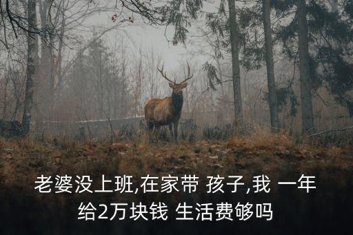 一年給孩子多少生活費,帶倆孩子需要多少生活費