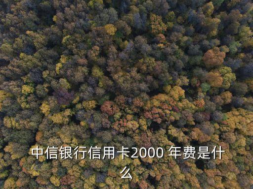  中信銀行信用卡2000 年費(fèi)是什么