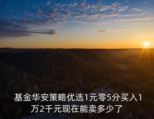  基金華安策略優(yōu)選1元零5分買入1萬2千元現(xiàn)在能賣多少了