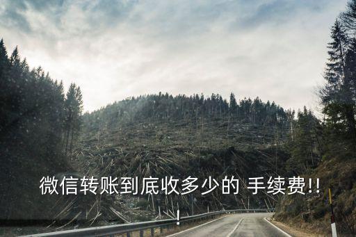 微信支付收款手續(xù)費是多少,農(nóng)信收款碼信用卡支付要手續(xù)費嗎