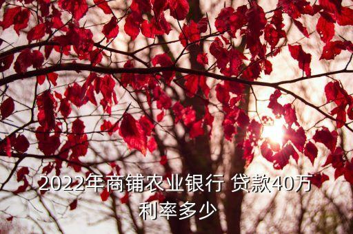 2022年商鋪農(nóng)業(yè)銀行 貸款40萬 利率多少
