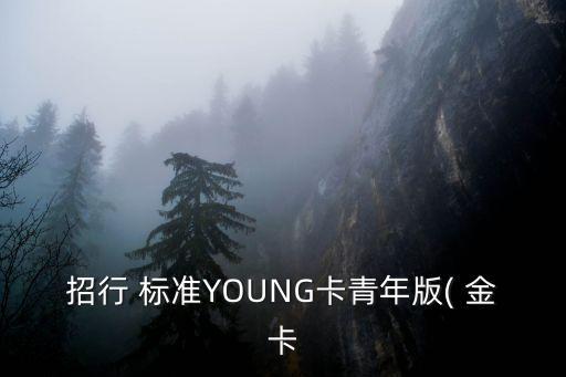招行 標(biāo)準(zhǔn)YOUNG卡青年版( 金卡
