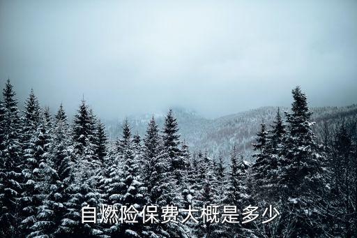  自燃險(xiǎn)保費(fèi)大概是多少