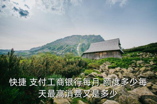 京東支付 工行信用卡額度是多少錢,工行京東小白信用卡額度