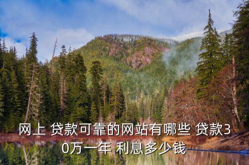 翼龍貸貸款利息是多少錢