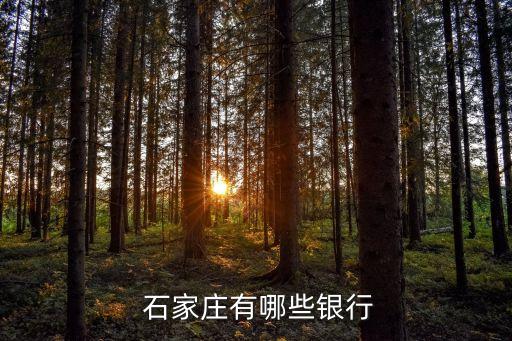 中國銀行河北省石家莊分行地址電話是多少錢