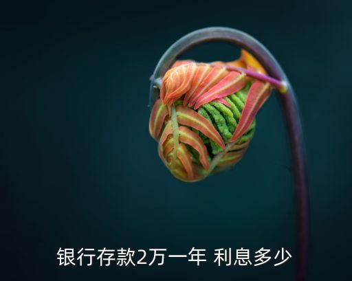 銀行存款2萬(wàn)一年 利息多少