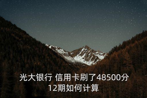  光大銀行 信用卡刷了48500分12期如何計算