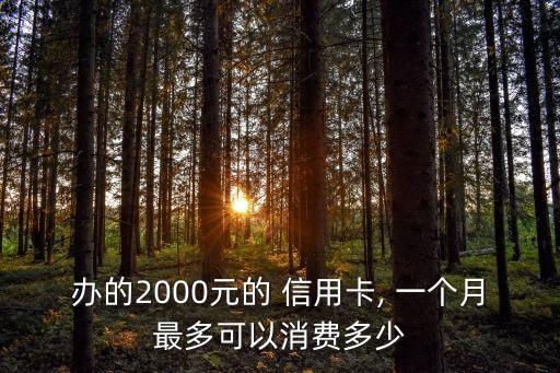 辦的2000元的 信用卡, 一個(gè)月最多可以消費(fèi)多少