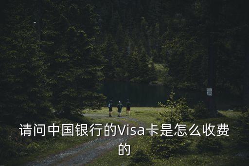 visa卡國內(nèi)atm取現(xiàn)手續(xù)費(fèi)多少