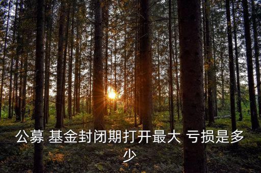公募 基金封閉期打開(kāi)最大 虧損是多少