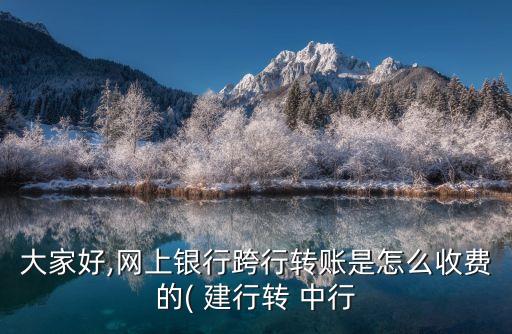 大家好,網(wǎng)上銀行跨行轉(zhuǎn)賬是怎么收費的( 建行轉(zhuǎn) 中行