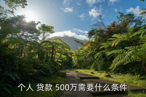 個(gè)人 貸款 500萬(wàn)需要什么條件