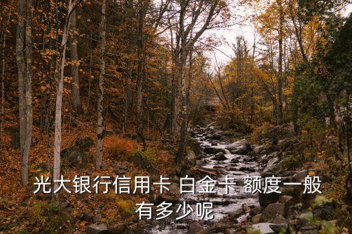 光大白金多少額度,光大商旅白金信用卡額度