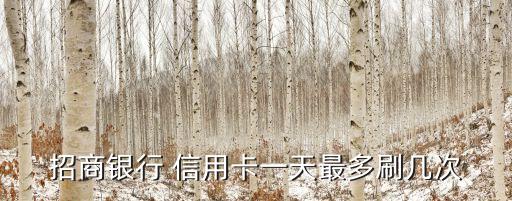 信用卡支付每天可刷多少,掃碼支付算不算刷信用卡次數(shù)
